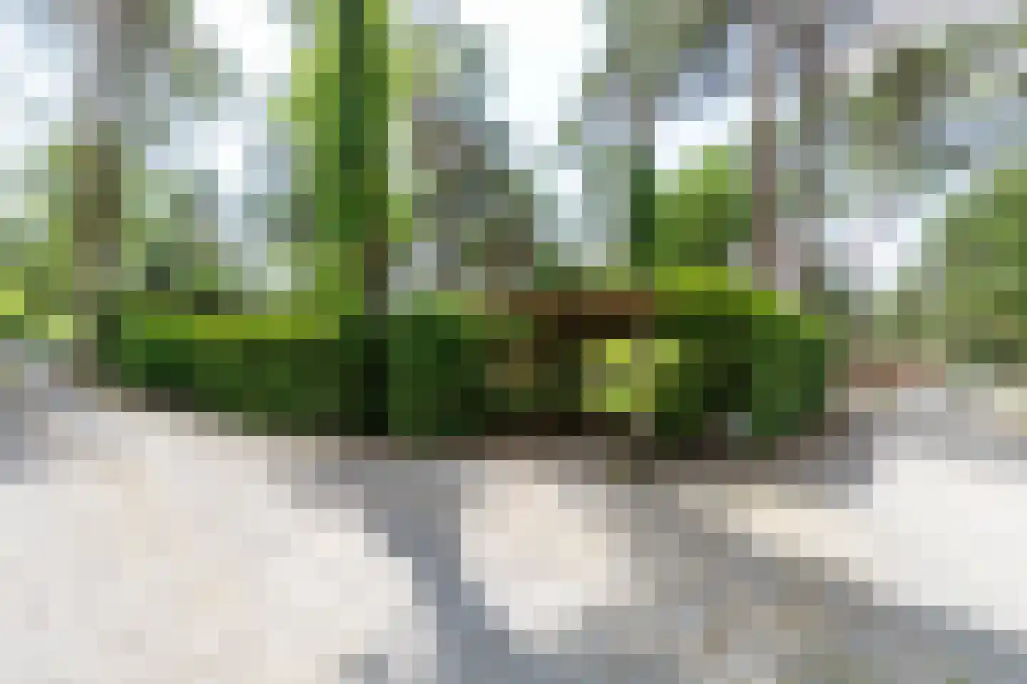 Posthoornseweg 6 74 Oisterwijk thumbnail 6