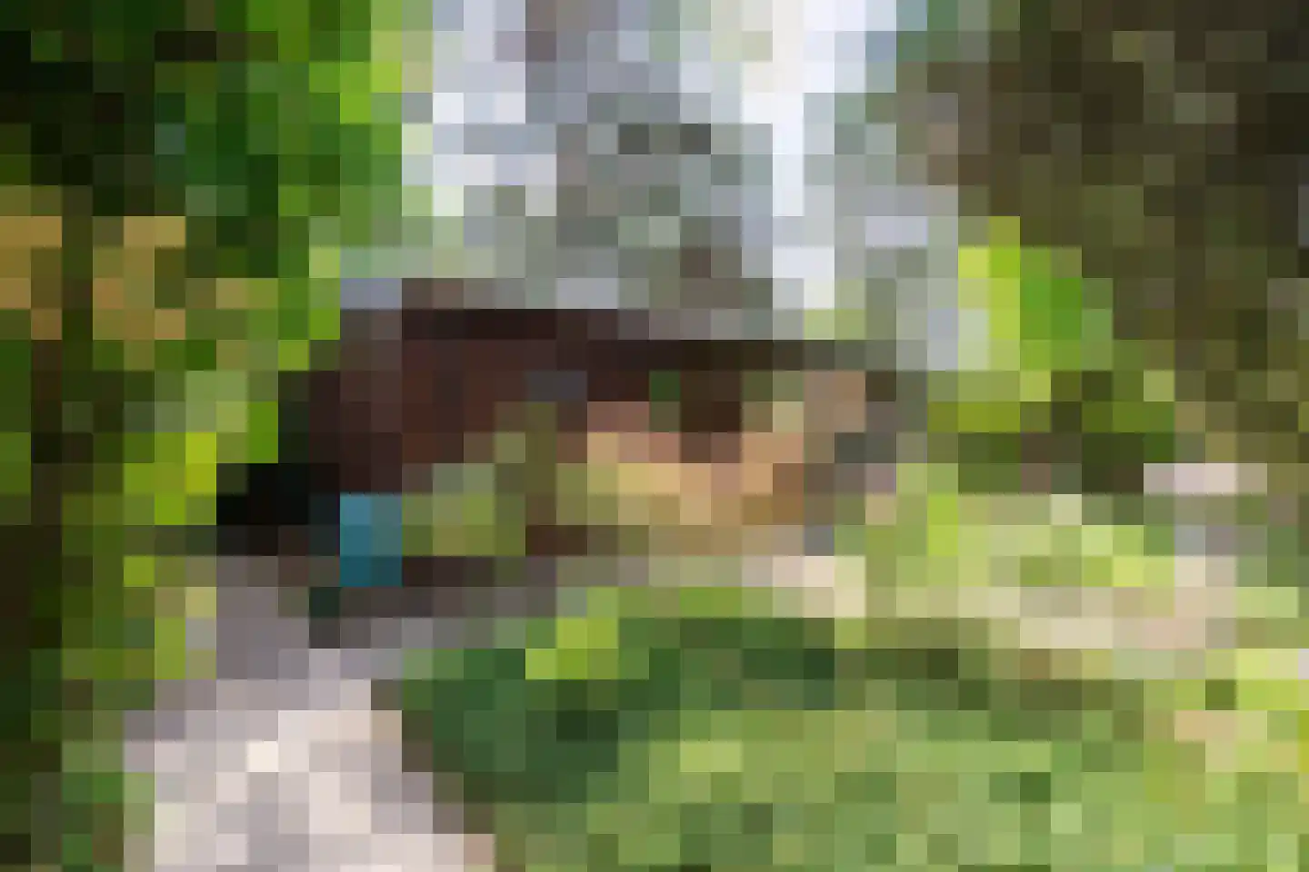 Posthoornseweg 6 74 Oisterwijk thumbnail 7
