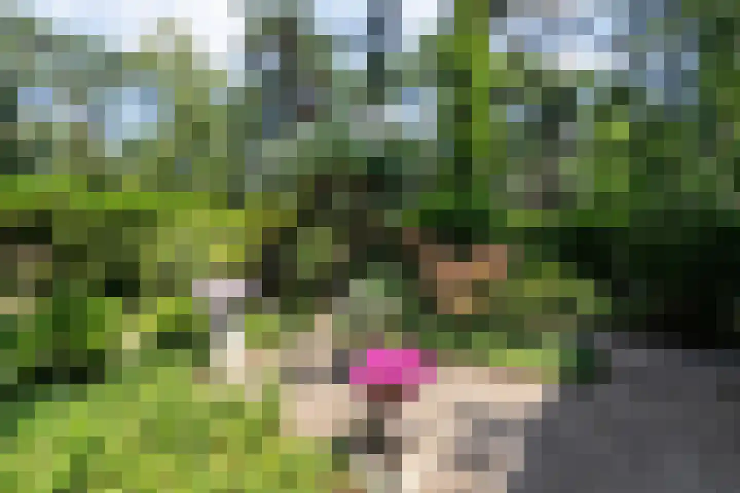 Posthoornseweg 6 74 Oisterwijk thumbnail 9