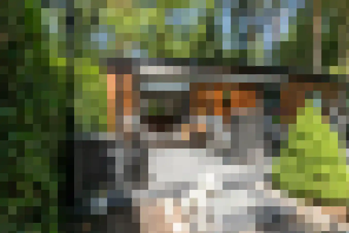 Posthoornseweg 6 75 Oisterwijk thumbnail 22