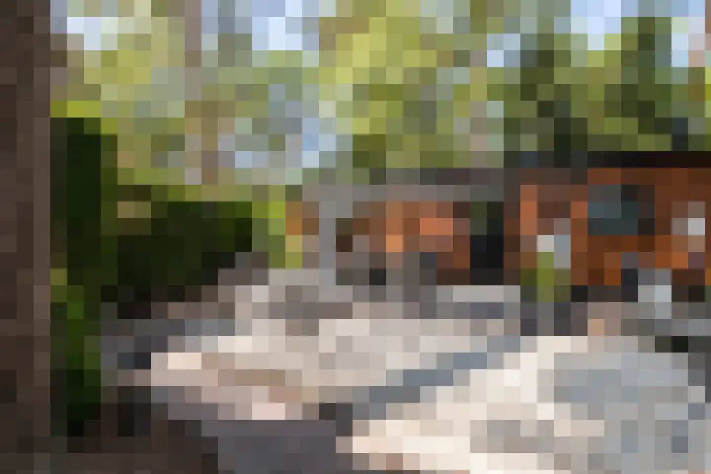 Posthoornseweg 6 75 Oisterwijk thumbnail 25