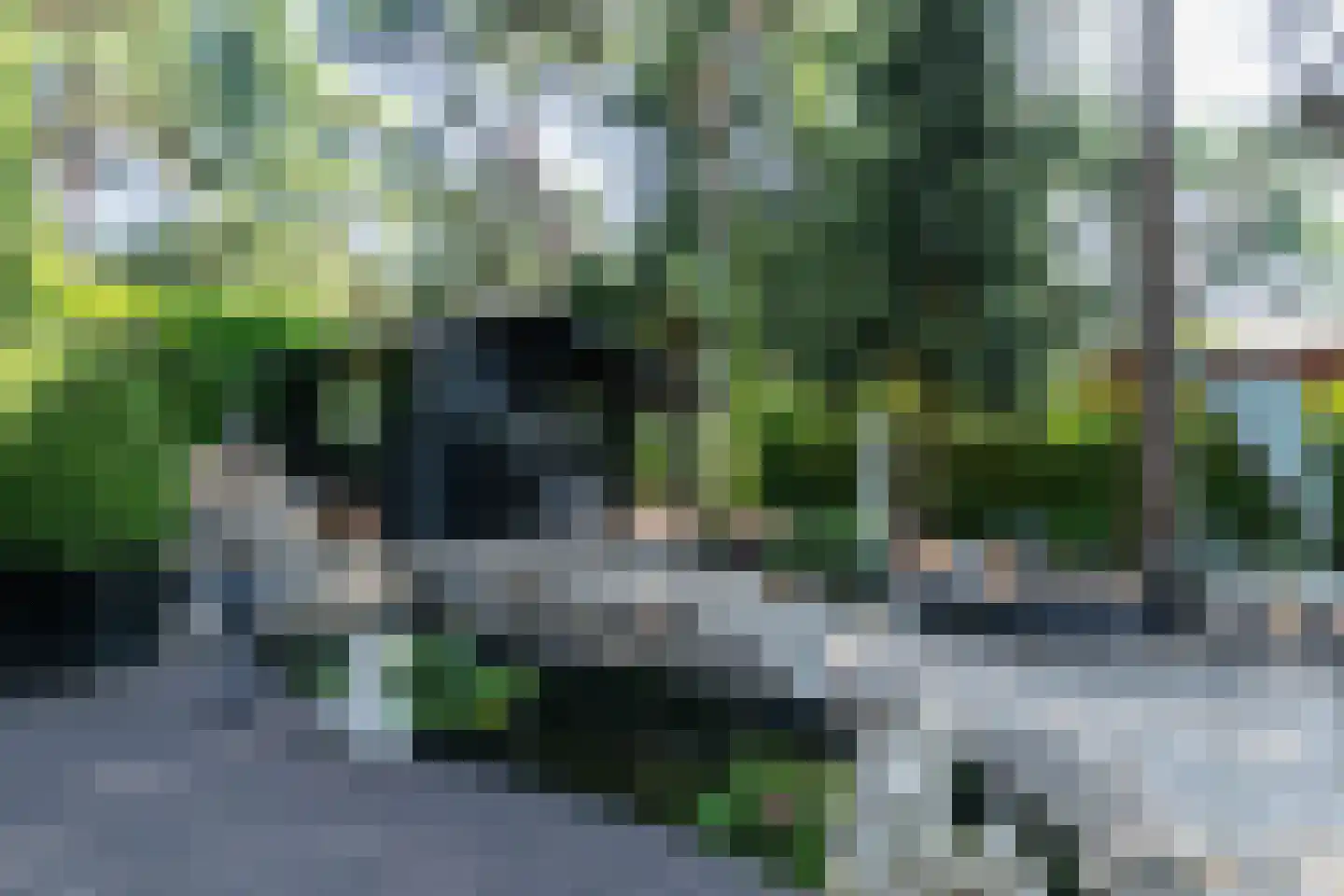 Posthoornseweg 6 75 Oisterwijk foto 3