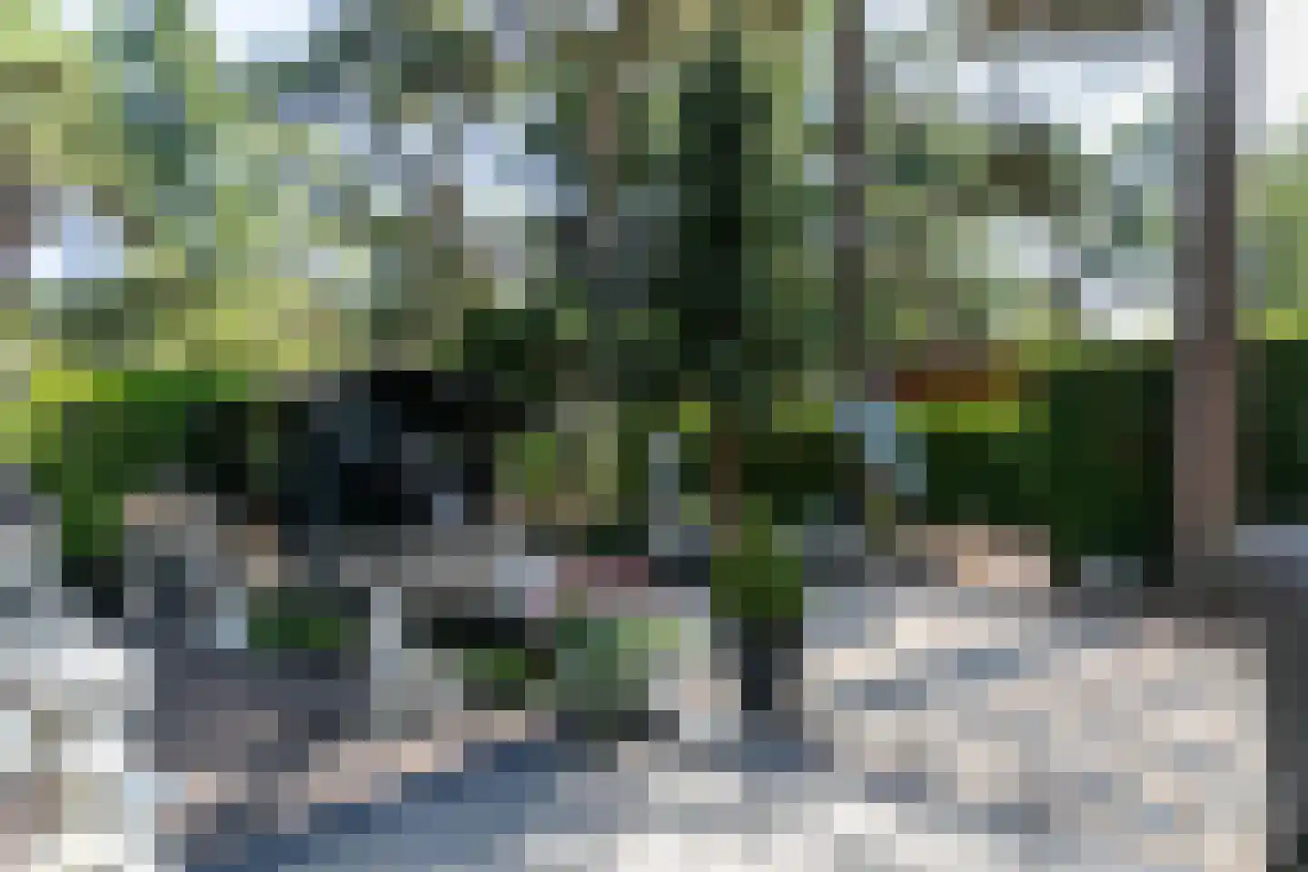 Posthoornseweg 6 75 Oisterwijk thumbnail 31