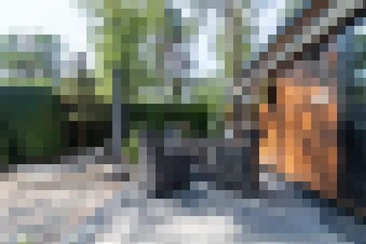 Posthoornseweg 6 75 Oisterwijk thumbnail 4