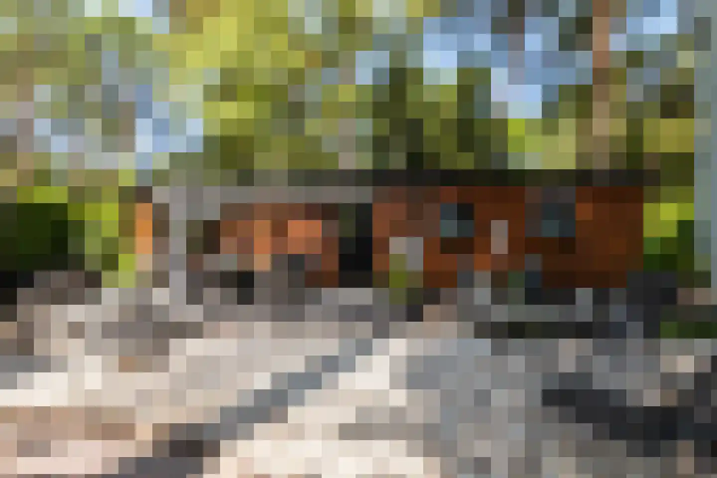 Posthoornseweg 6 75 Oisterwijk thumbnail 5