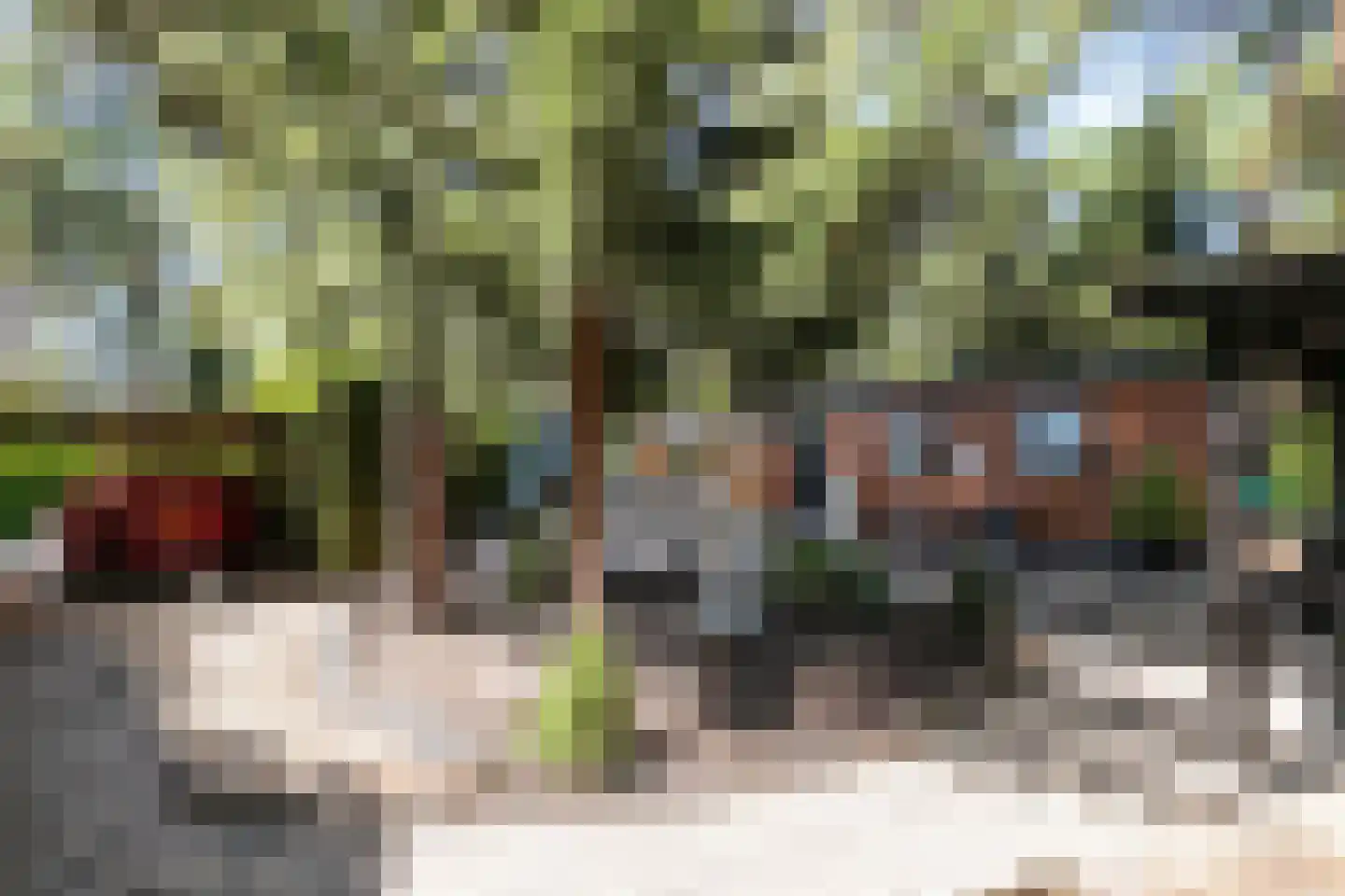 Posthoornseweg 6 75 Oisterwijk thumbnail 6