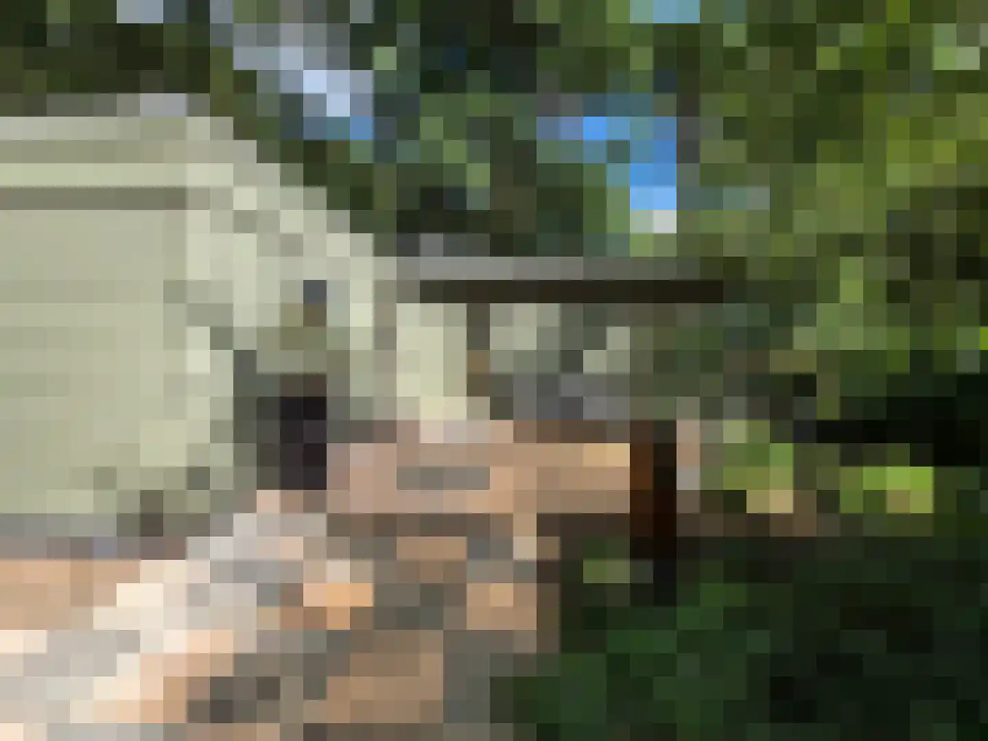 Posthoornseweg 6 8 Oisterwijk thumbnail 4