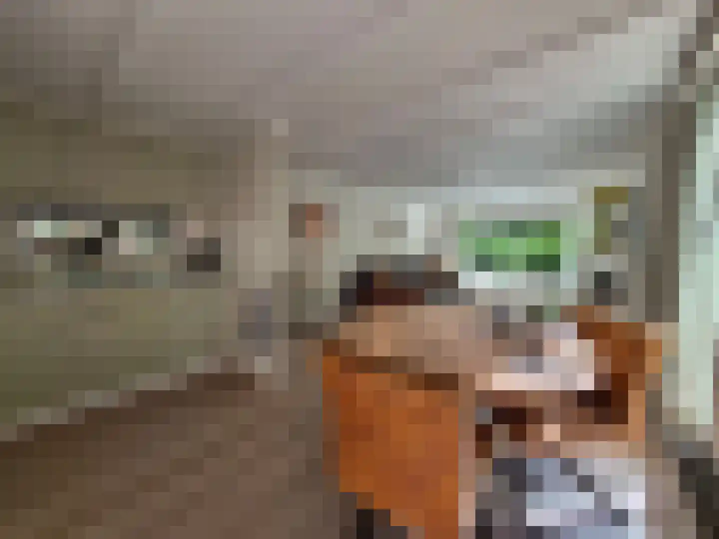 Posthoornseweg 6 8 Oisterwijk thumbnail 8