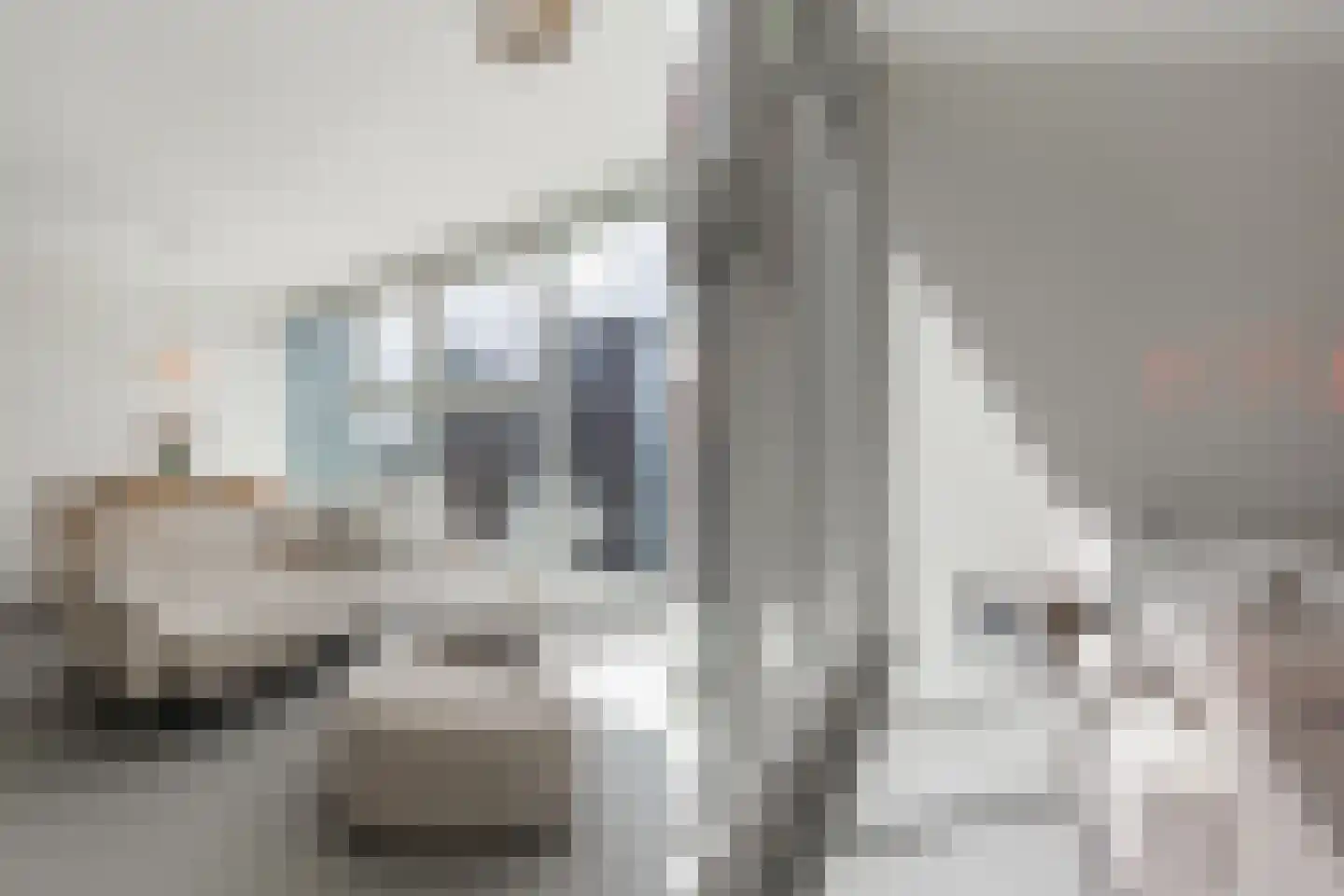 Posthoornstraat 398 Rotterdam thumbnail 10