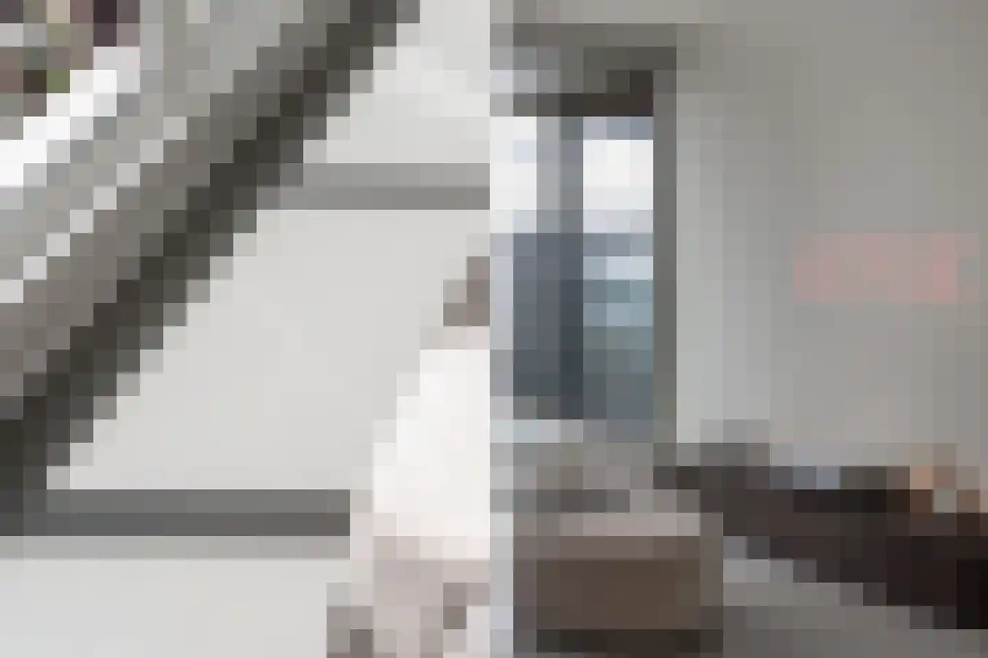Posthoornstraat 398 Rotterdam thumbnail 12