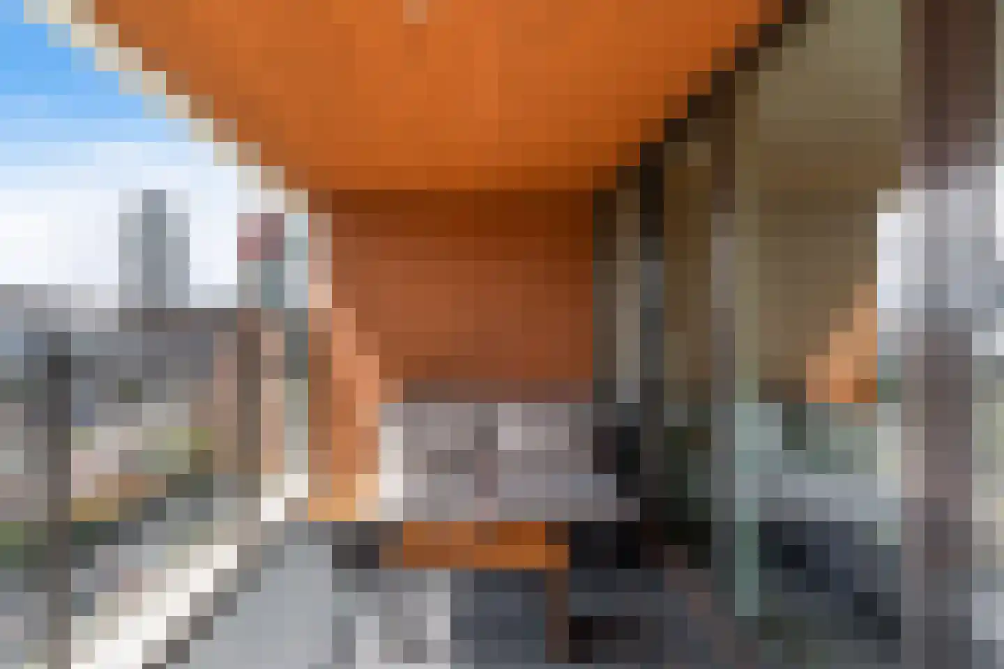 Posthoornstraat 398 Rotterdam thumbnail 30