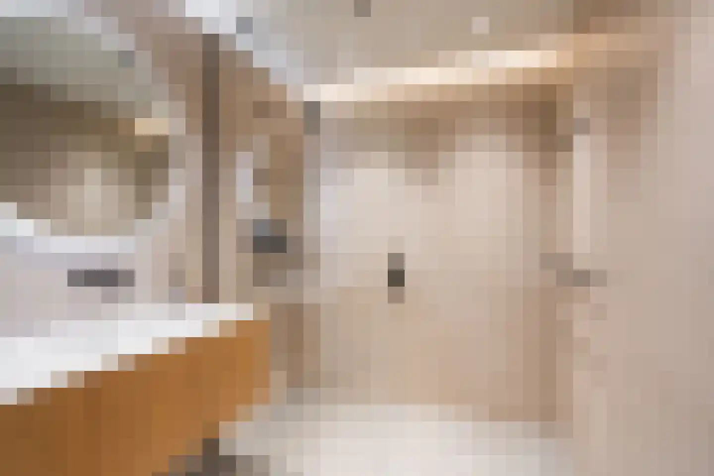 Posthoornstraat 398 Rotterdam thumbnail 5