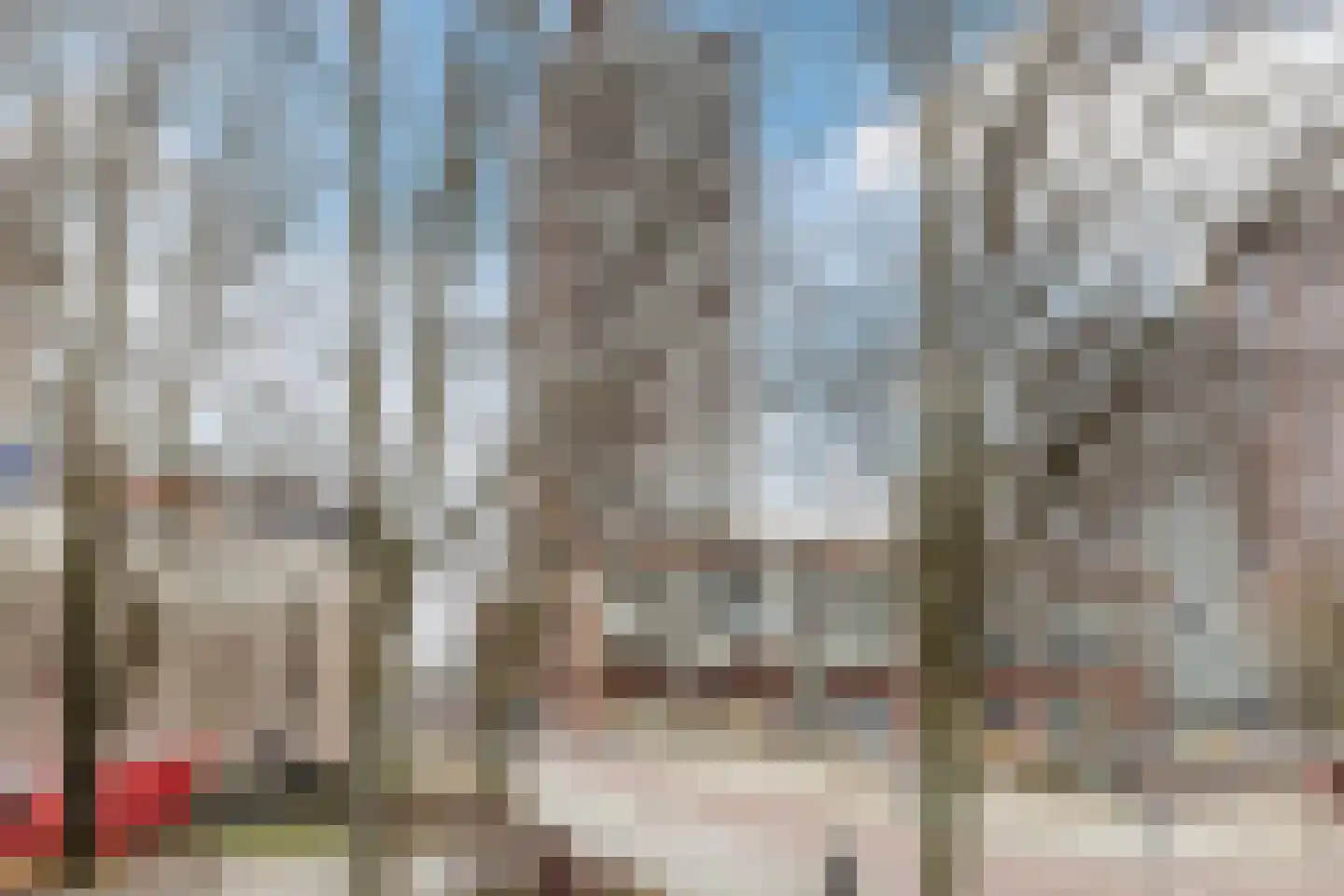 Posthoornstraat 436 Rotterdam thumbnail 4