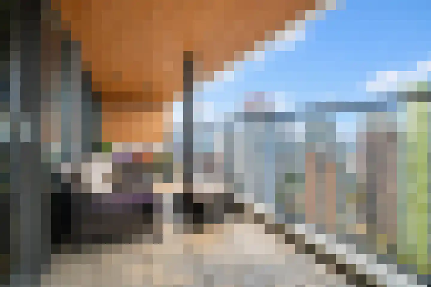 Posthoornstraat 486 Rotterdam thumbnail 4