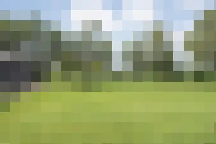 Posthoornweg 54 De Krim thumbnail 74