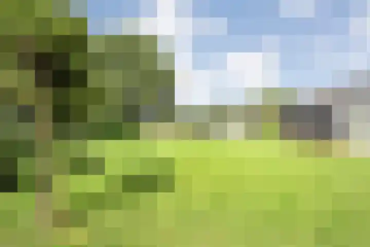 Posthoornweg 54 De Krim thumbnail 75