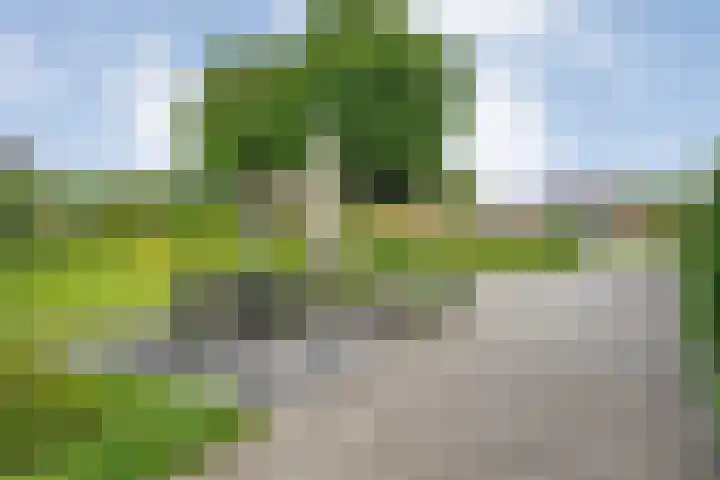 Posthoornweg 54 De Krim thumbnail 76