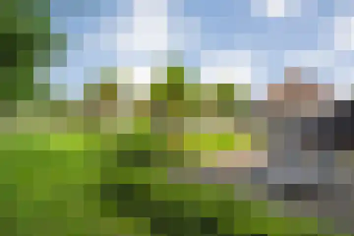 Posthoornweg 54 De Krim thumbnail 77