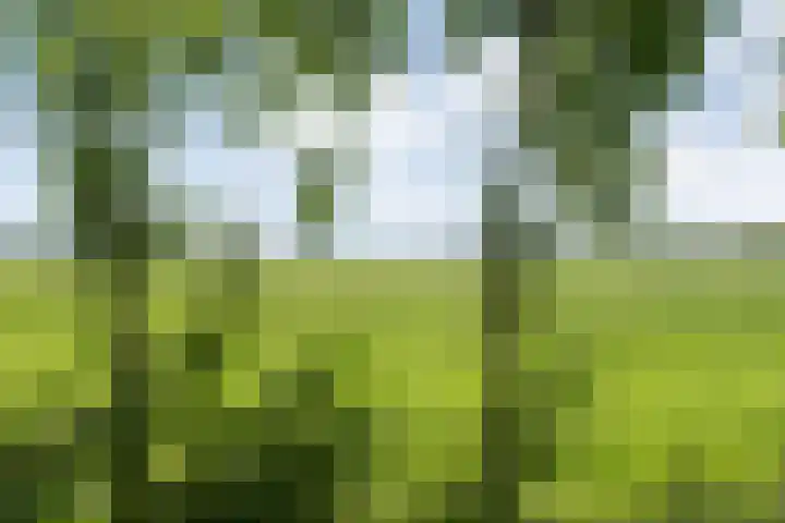 Posthoornweg 54 De Krim thumbnail 78
