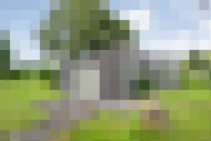 Posthoornweg 54 De Krim thumbnail 82