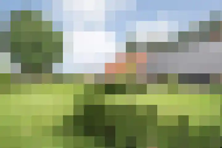 Posthoornweg 54 De Krim thumbnail 83