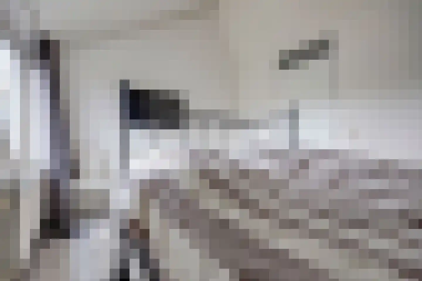 Posthuislaan 6 Almelo thumbnail 13