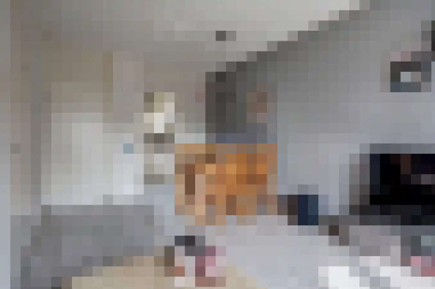 Posthuislaan 6 Almelo thumbnail 5