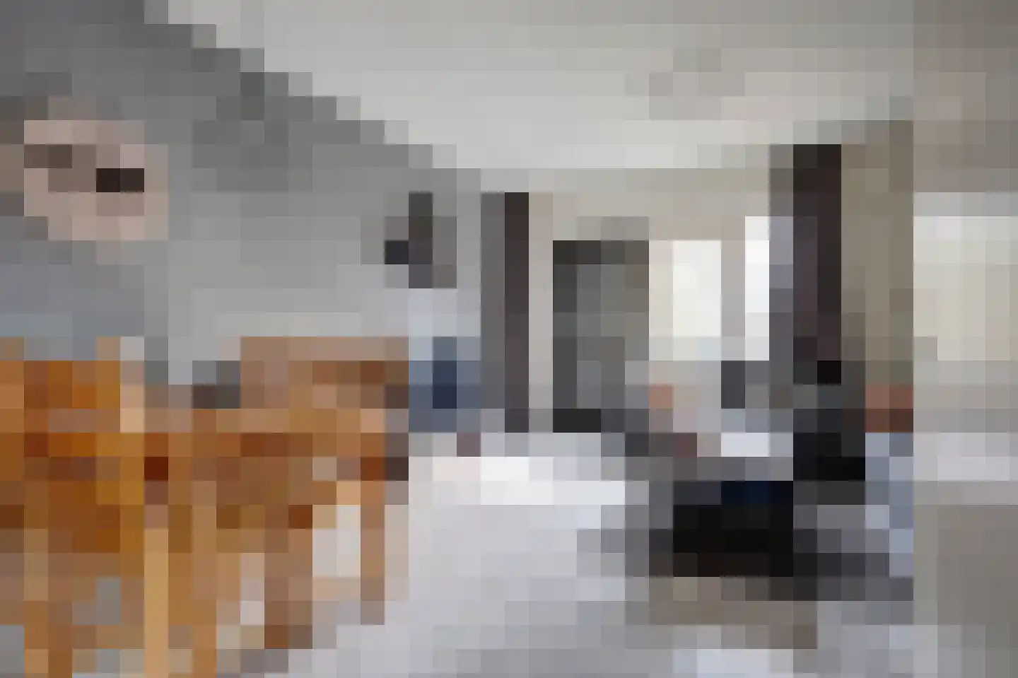 Posthuislaan 6 Almelo thumbnail 6