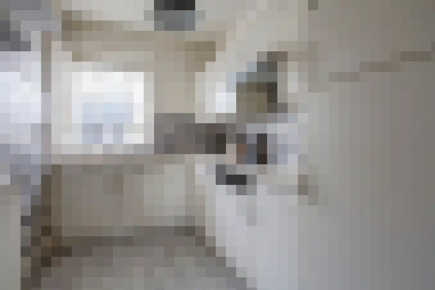 Posthuislaan 6 Almelo thumbnail 7