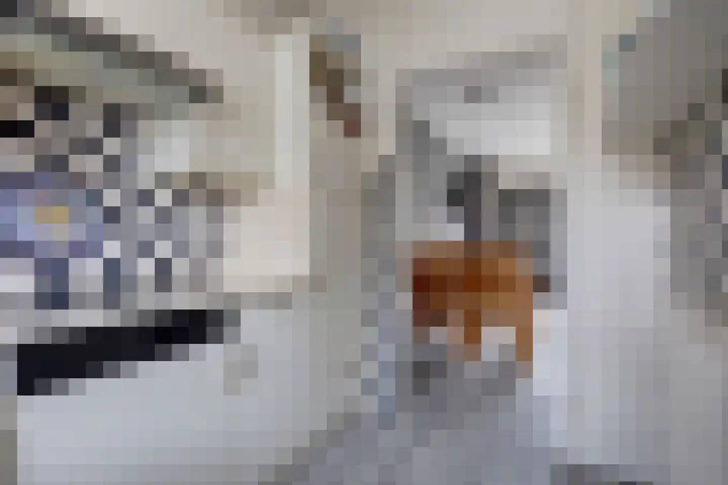 Posthuislaan 6 Almelo thumbnail 8