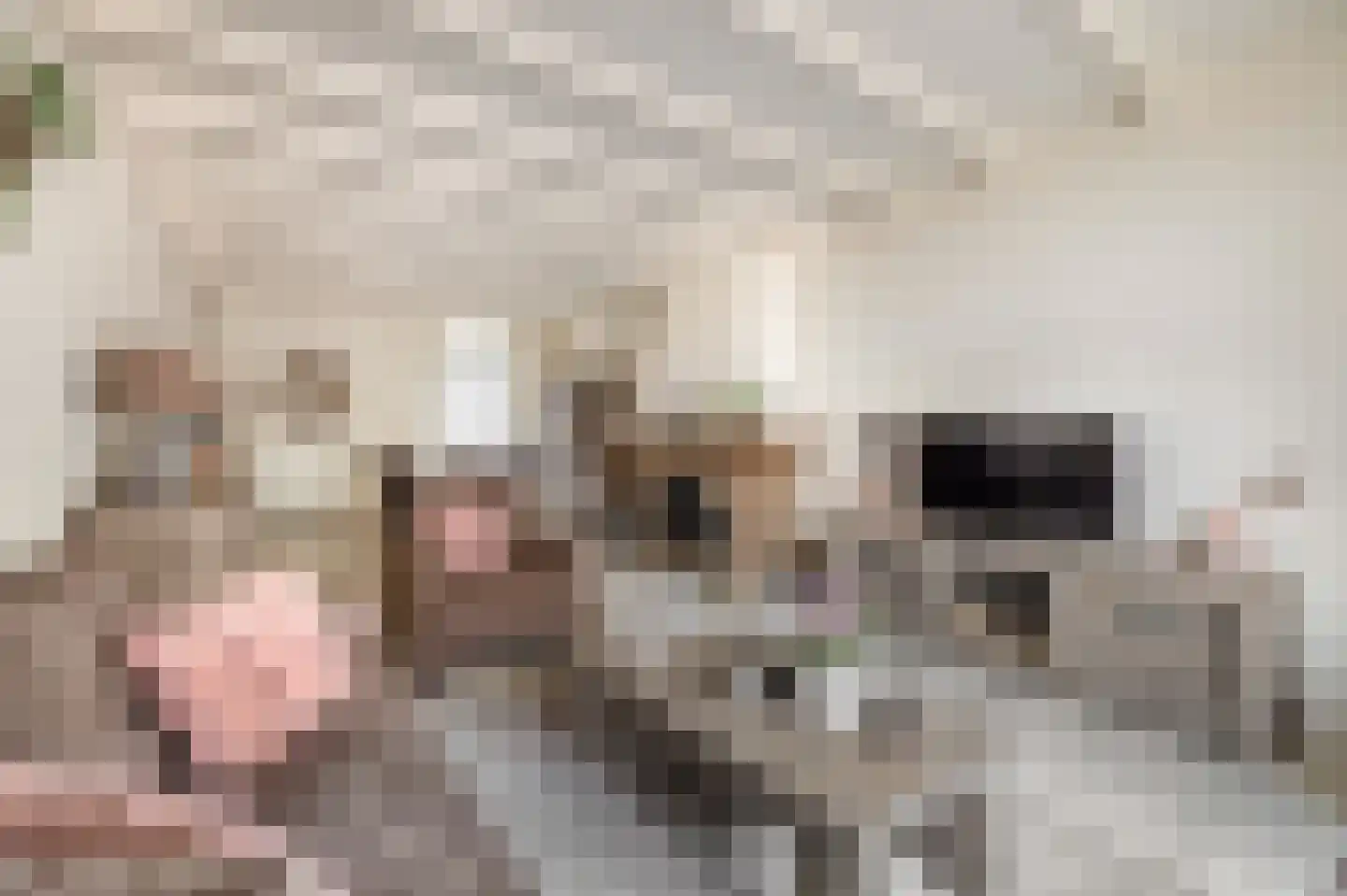 Posthuisstraat 11 Tegelen thumbnail 10