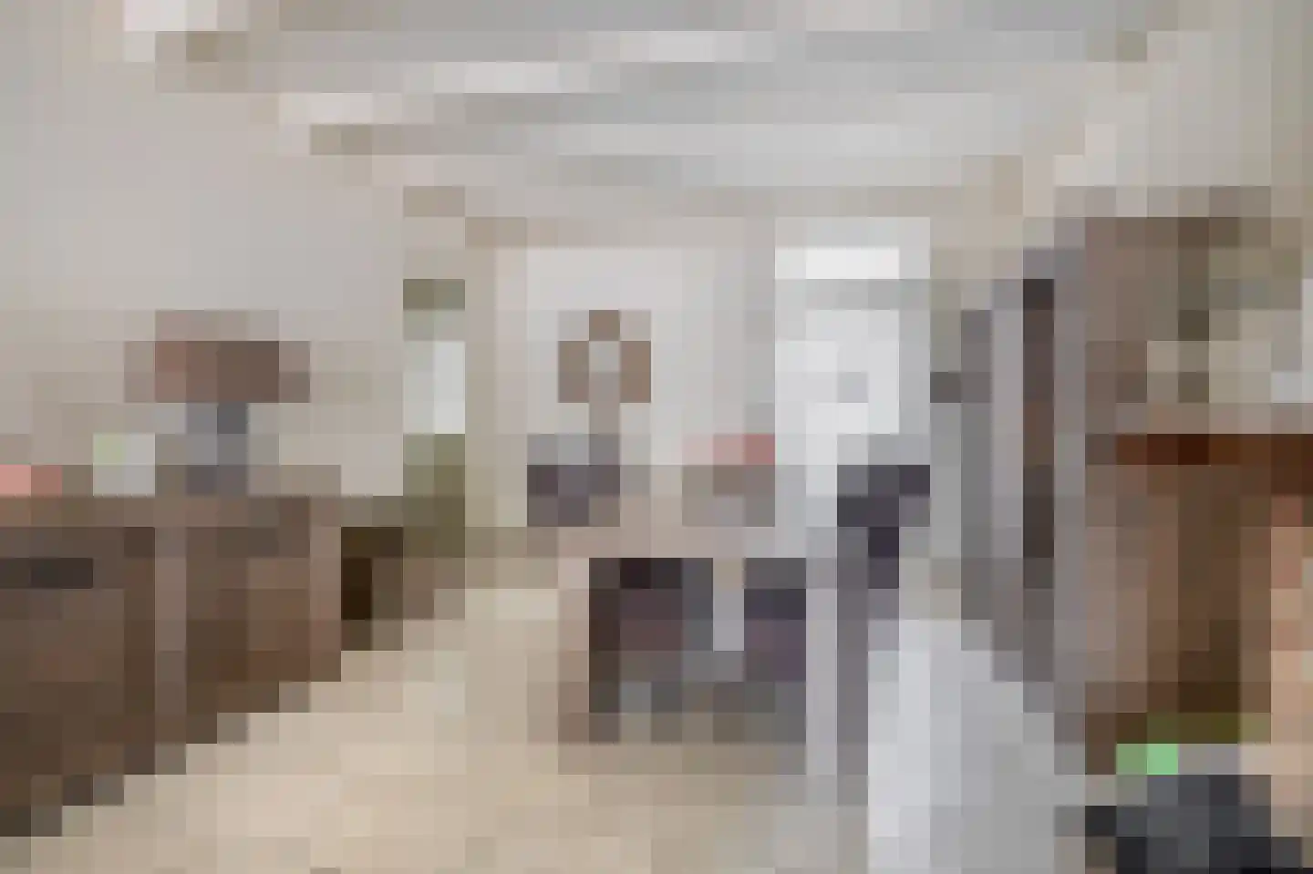 Posthuisstraat 11 Tegelen thumbnail 14