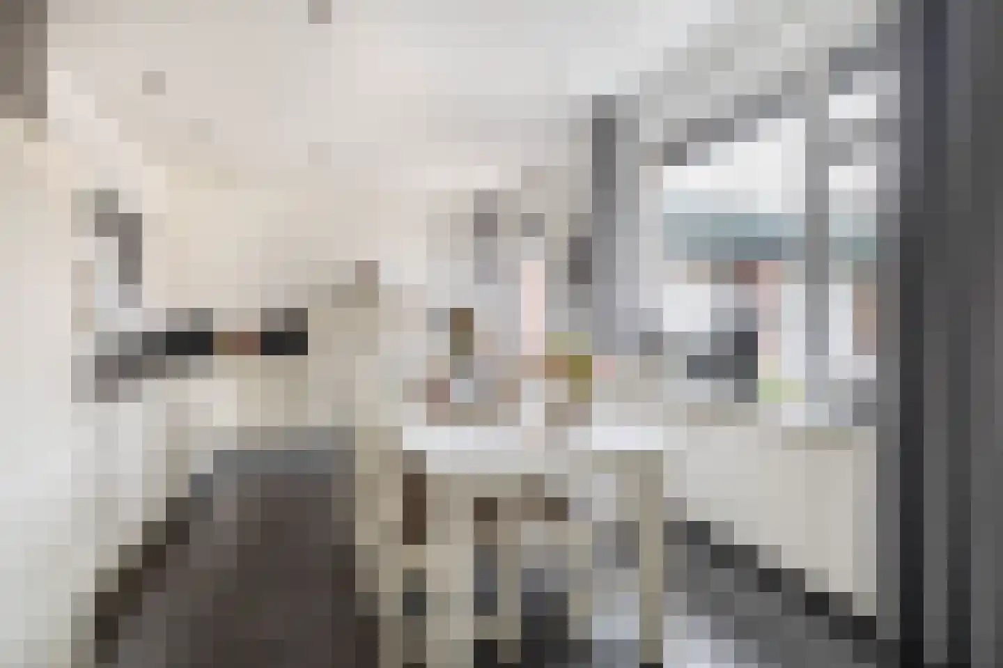 Posthuisstraat 11 Tegelen thumbnail 16