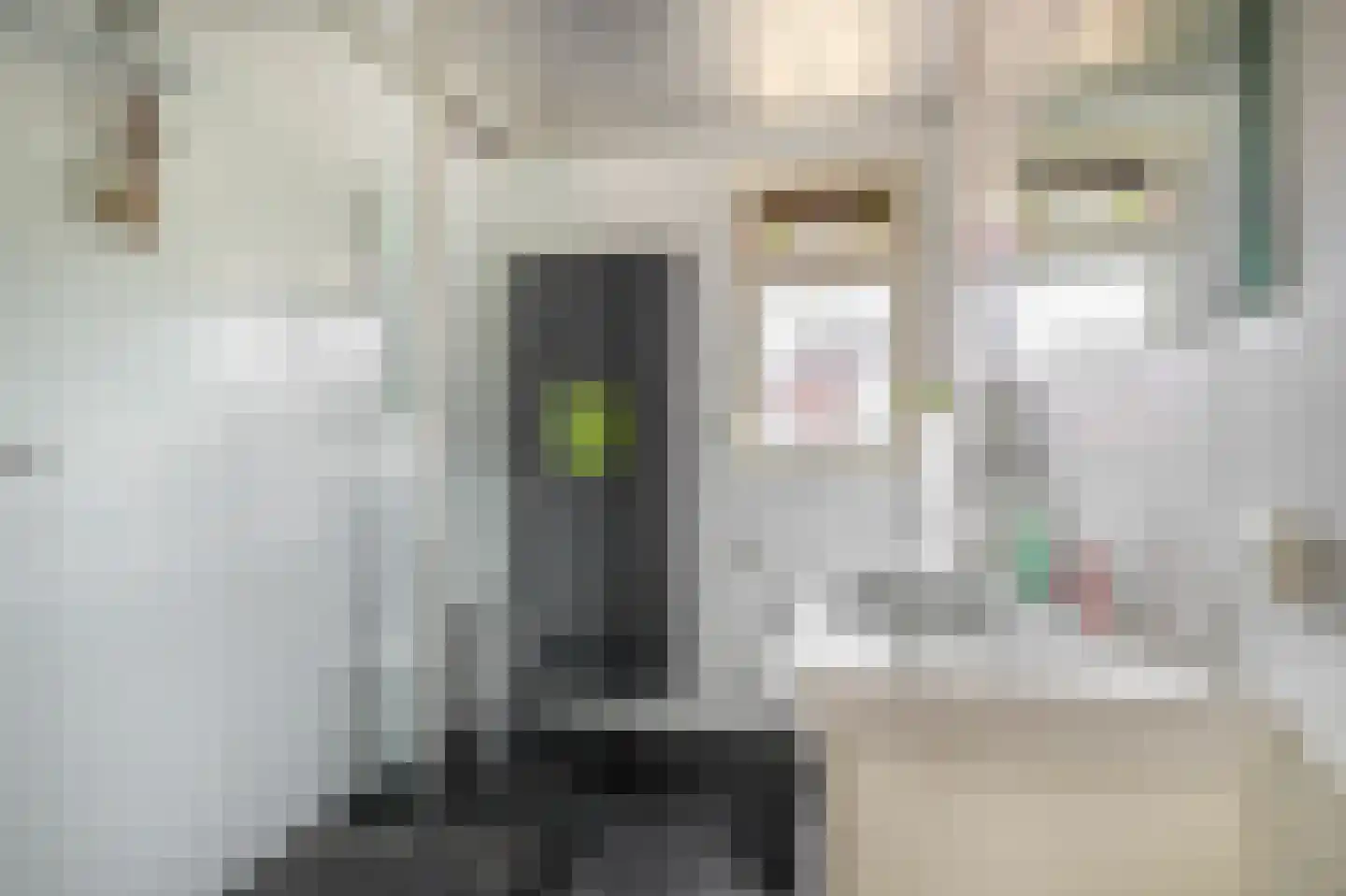 Posthuisstraat 11 Tegelen thumbnail 28