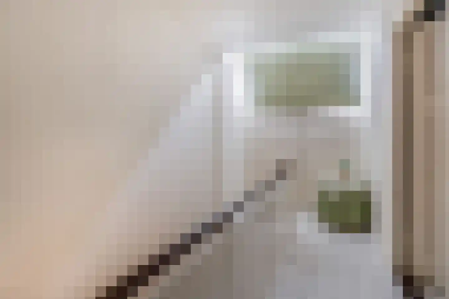 Posthuisstraat 11 Tegelen thumbnail 30