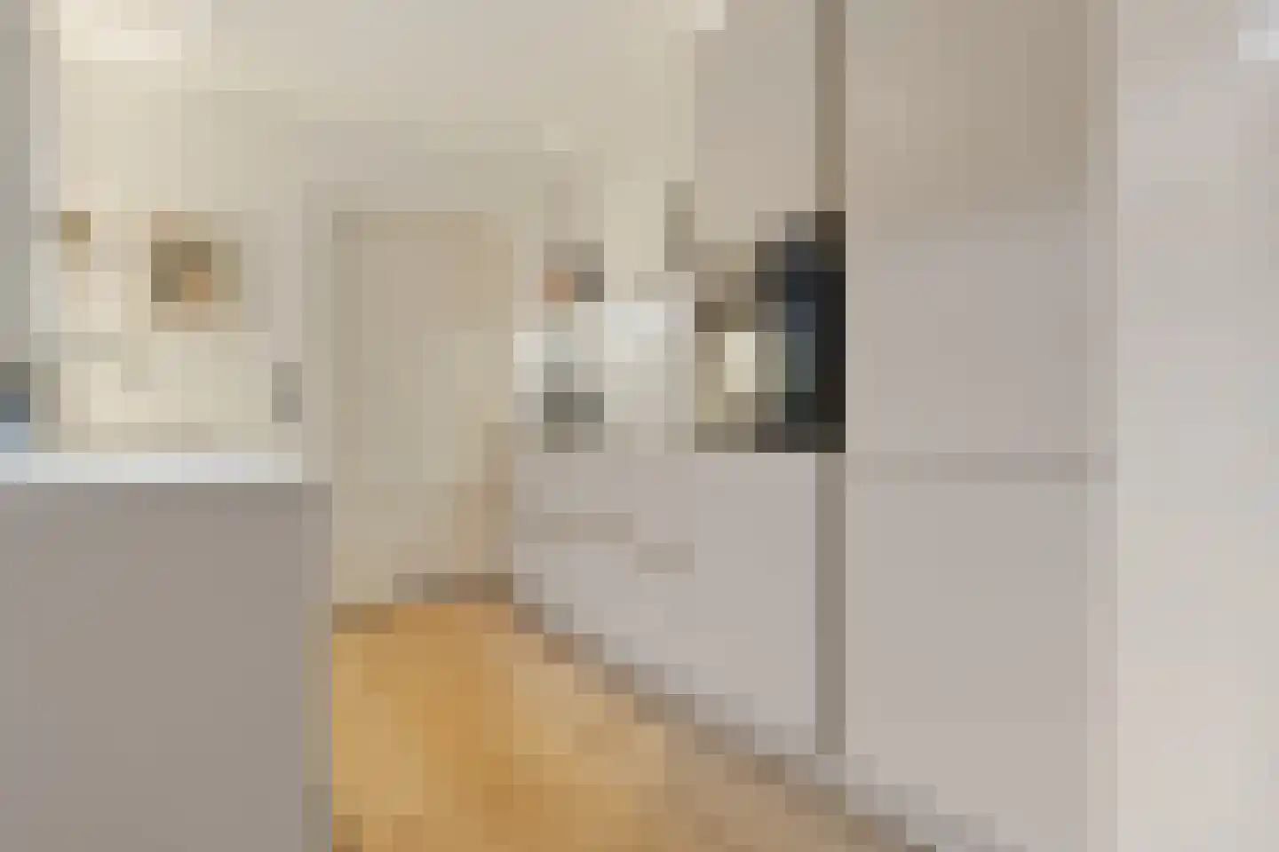 Posthuisstraat 18 Tegelen thumbnail 15