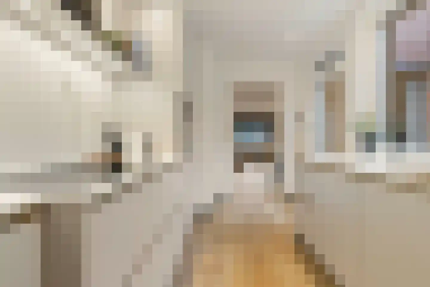 Posthuisstraat 18 Tegelen thumbnail 18