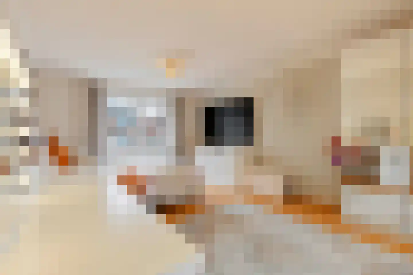 Posthuisstraat 18 Tegelen thumbnail 24