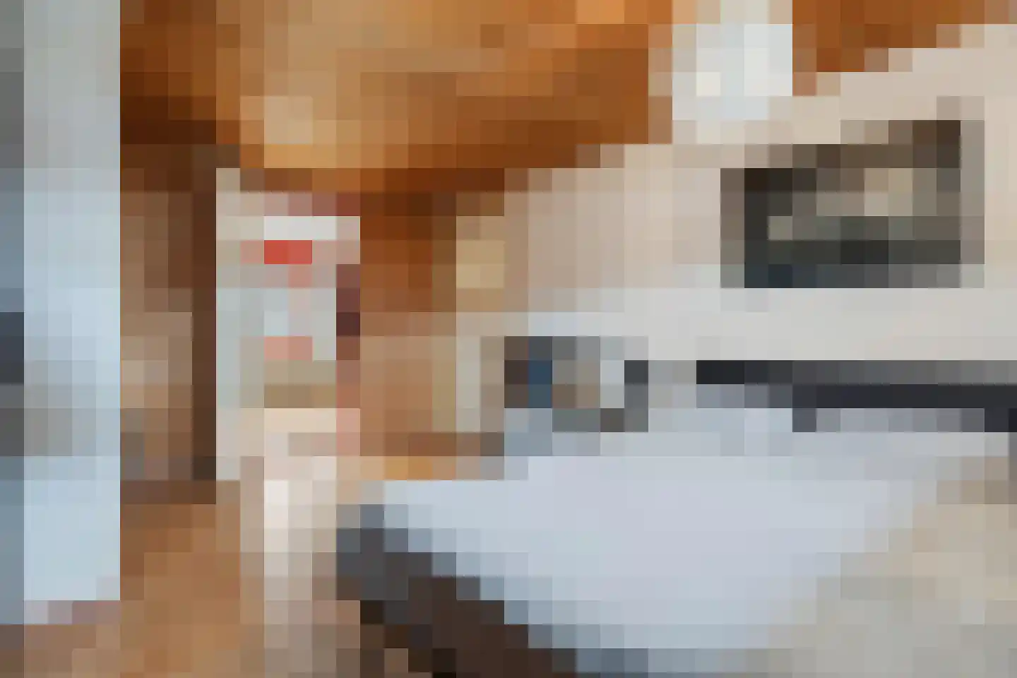 Posthuisstraat 18 Tegelen thumbnail 42