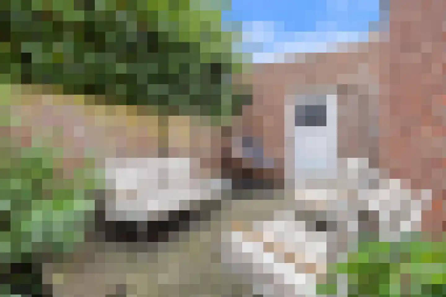 Posthuisstraat 18 Tegelen thumbnail 47