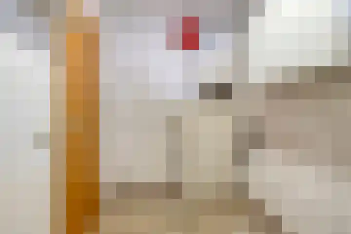 Posthuisstraat 35 Goor thumbnail 24