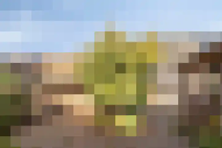 Posthuisstraat 35 Goor thumbnail 34