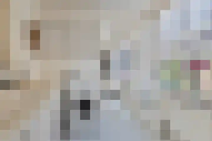Posthuisstraat 4 Maasbracht thumbnail 10