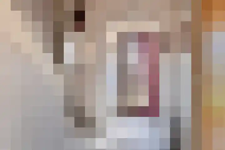 Posthuisstraat 4 Maasbracht thumbnail 14