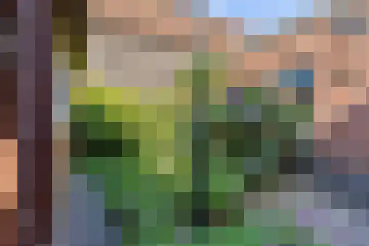 Posthuisstraat 4 Maasbracht thumbnail 22