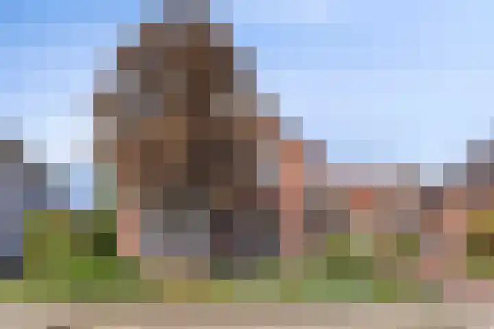 Posthuisstraat 4 Maasbracht thumbnail 24