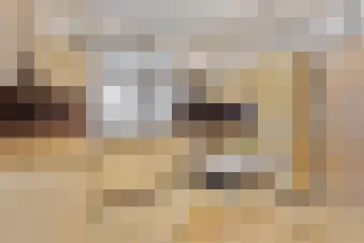 Posthuisstraat 4 Maasbracht thumbnail 4