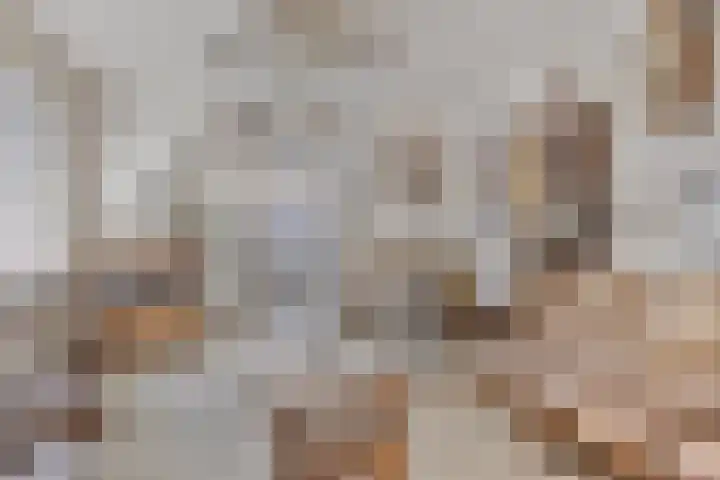 Posthuisstraat 4 Maasbracht thumbnail 5