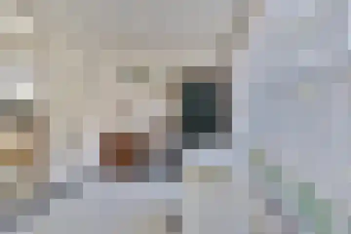 Posthuisstraat 4 Maasbracht thumbnail 9
