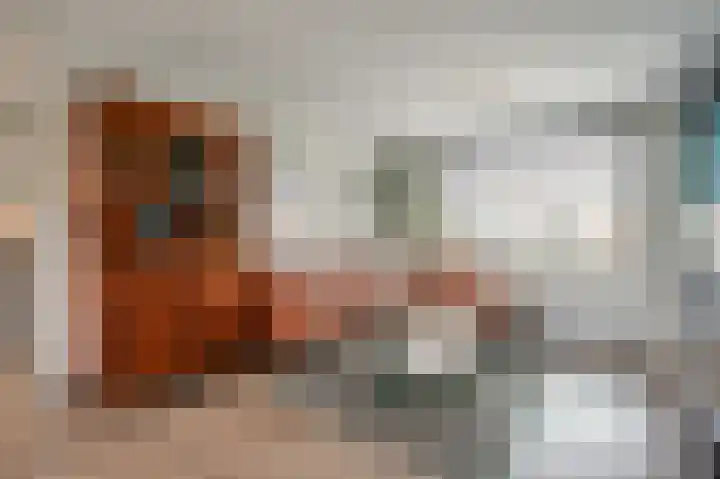 Posthuisstraat 9 Maasbracht thumbnail 10